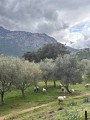 Le Sentier de la Transhumance étape 5 - De Bonifatu à Calenzana
