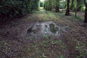 Le chemin de la Bourgeaudière