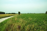 L'égout de la Grande Prée 