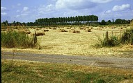 L'égout de la Grande Prée 