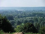 Le marais de Boscherville