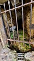 Alimentation lavoir