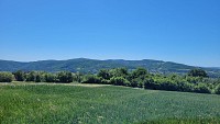 Monts d'Or
