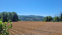 Monts d'Or