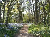 Bois Lebisey - Hérouville St Clair
