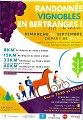 Randonnée Vignobles en Bertranges