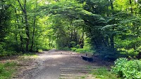 Bois de Serres