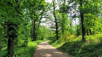 Parc