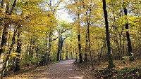 Parc