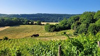 Point de vue