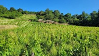Point de vue