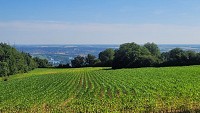 Point de vue