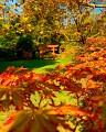 Jardin zen d'Erik Borja
