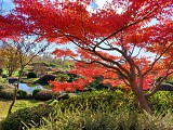 Jardin zen d'Erik Borja