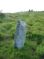 La borne romaine du Col du Jaillet et autres classées de Cordon