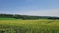 Point de vue