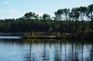 IMGP2435