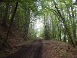 Le sentier des verriers