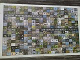 Les oiseaux de la réserve
