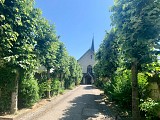 FONTEVRAUD-L'ABBAYE à MONTSOREAU (en 1 jour)