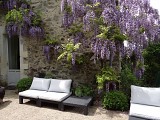 De ANGERS à CHALONNES-SUR-LOIRE en 2 jours