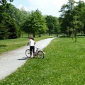 Sentier au milieu de la prairie