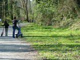Le sentier en sous bois