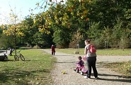 Le sentier au bord du lac