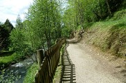 Chemin le long du Virgou