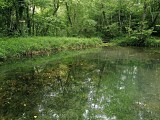 IMG_20240621_115941