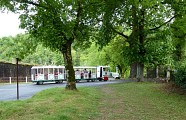 Le petit train