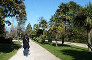 Allée du parc Beaumont