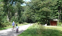 Une allée du bois de Bastard