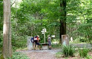 Pélerines dans le bois de Bastard