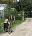 Près des serres de la ville de Pau