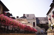 FONTEVRAUD-L'ABBAYE à MONTSOREAU (en 1 jour)