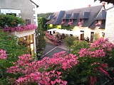 FONTEVRAUD-L'ABBAYE à MONTSOREAU (en 1 jour)