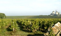 De CHALONNES-SUR-LOIRE à GENNES en 3 jours