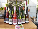 De CHALONNES-SUR-LOIRE à GENNES en 3 jours
