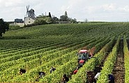 De CHALONNES-SUR-LOIRE à GENNES en 3 jours