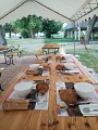 De CHALONNES-SUR-LOIRE à GENNES en 3 jours