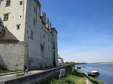 De SAUMUR à MONTREUIL-BELLAY en 1 jour