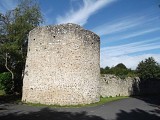Le Génetey
