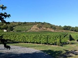 De ANGERS à CHALONNES-SUR-LOIRE en 2 jours