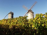 De ANGERS à CHALONNES-SUR-LOIRE en 2 jours