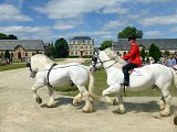 Au coeur de Saint-Lô