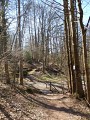Balade sonore - Découverte de Lichtenberg