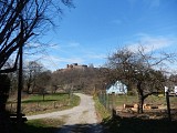 Balade sonore - Découverte de Lichtenberg
