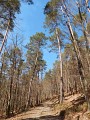 Balade sonore - Découverte de Lichtenberg