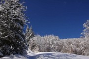 Sentier de découverte : "L'Arboretum de l'Hort de Dieu"